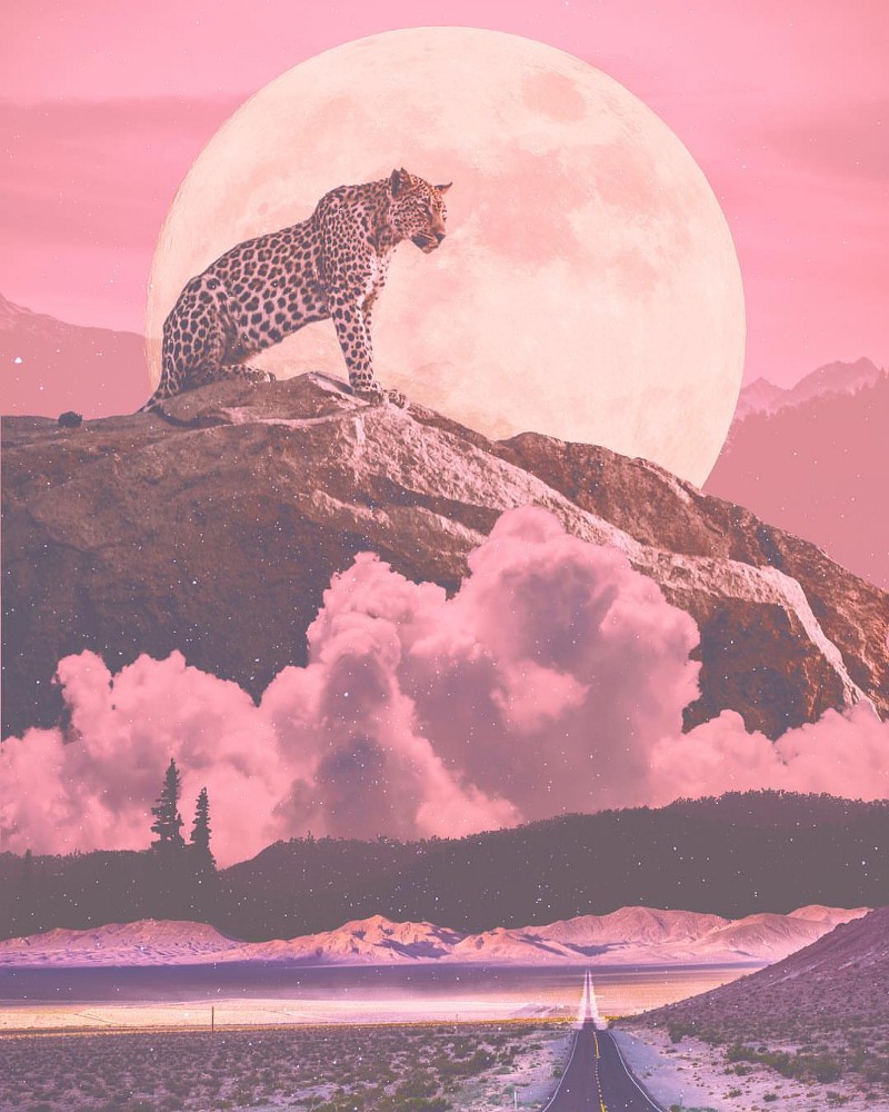 October Comes New Skin&nbsp;Itch