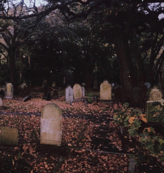 Don’t Be Scared of&nbsp;Graveyards