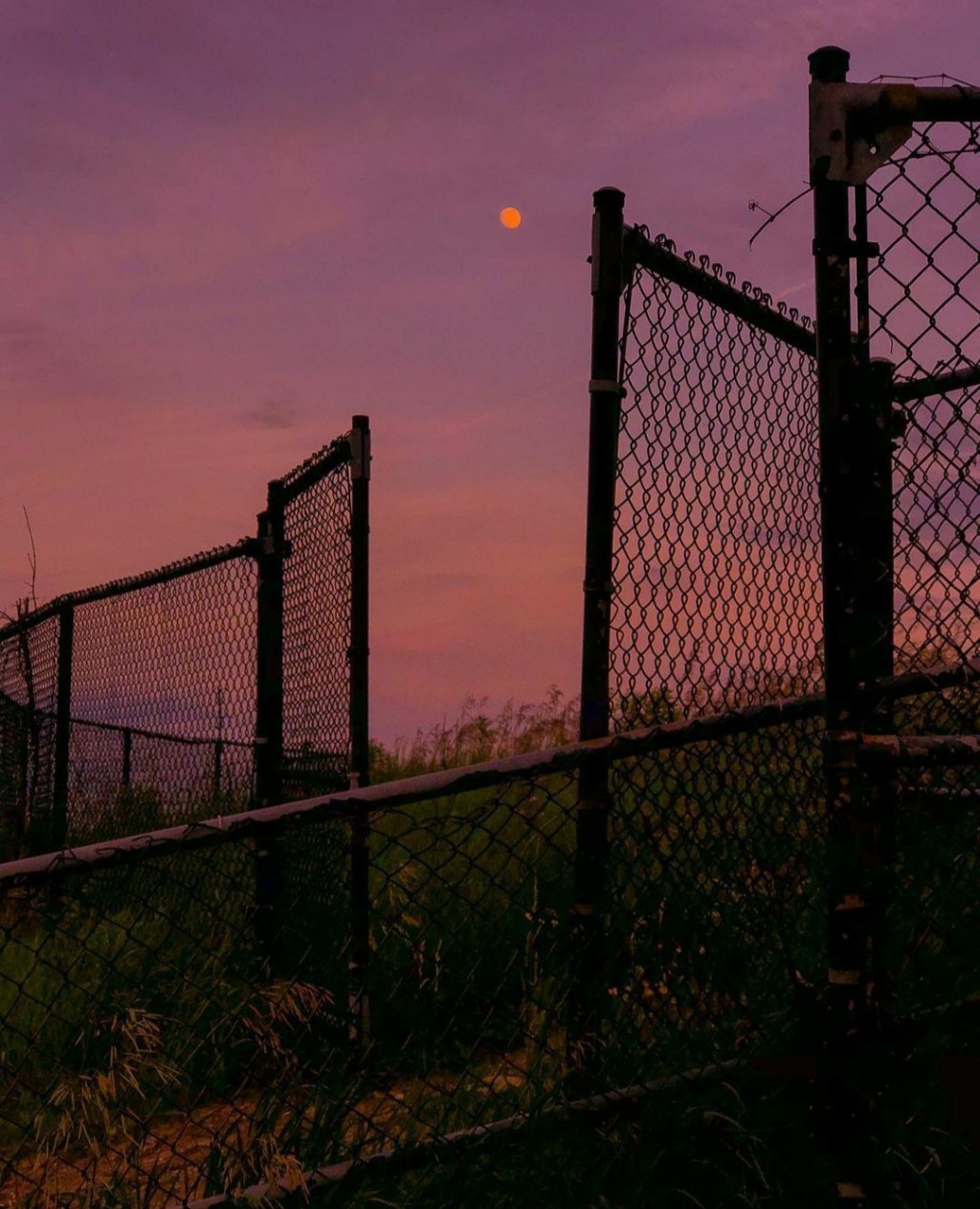 A Small Part Of The&nbsp;Pantomime