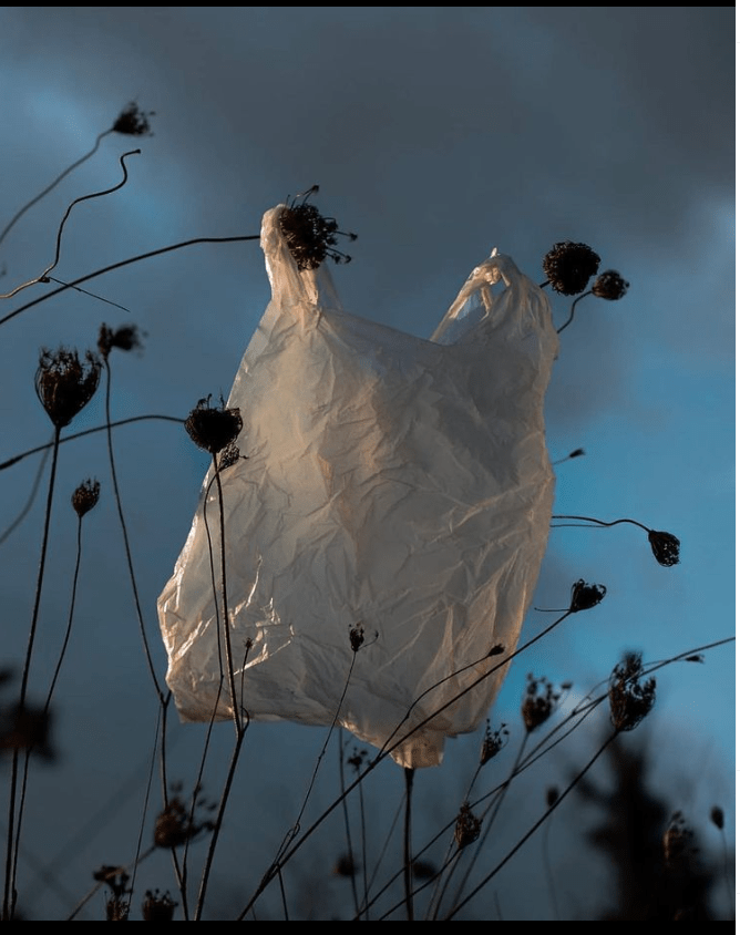 Ascend We Must,&nbsp;Above.