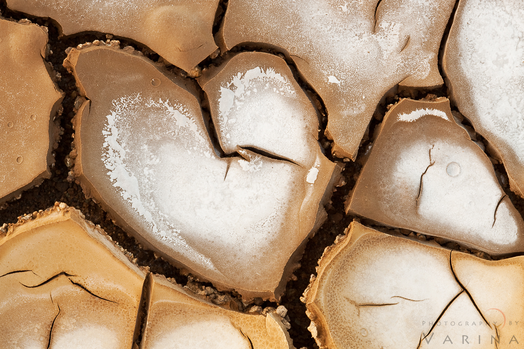 You’re Going to Be A&nbsp;Father